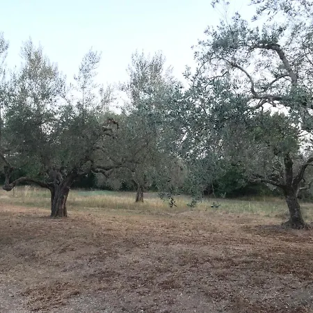 別荘 La Casa Degli Ulivi
